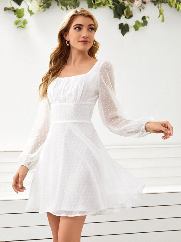 Women’s Woven Chiffon Jacquard Elegant Long Sleeve Dress